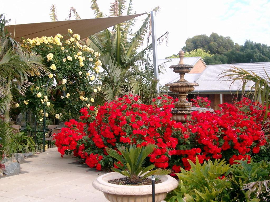 Mclaren Vale Motel & Apartments Extérieur photo